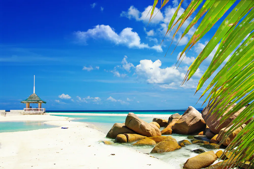 A tropical scene via Shutterstock*