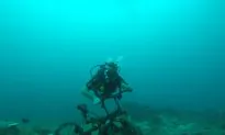 Getting Scuba Certified in Beutiful Gili Trawangan, Indonesia!