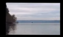 Viral Video: Crab Fishermen Get Close to Orcas