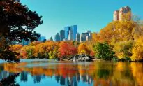 Top 10 Cities in the World for Marriage Proposals