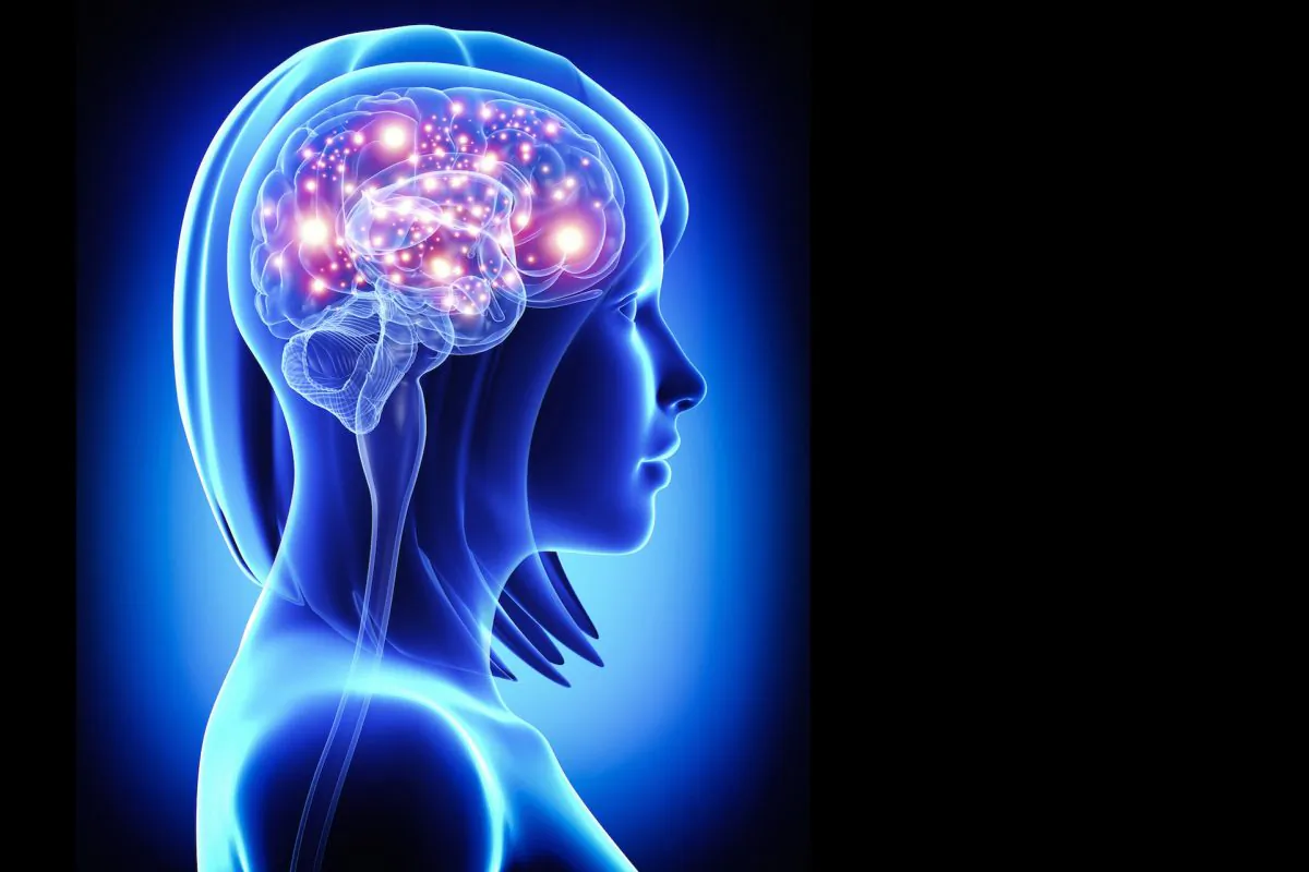 "It's useful to think of your brain as housing a very large toolkit," said Scott Grafton. (Pixologic studio/iStock/Thinkstock)