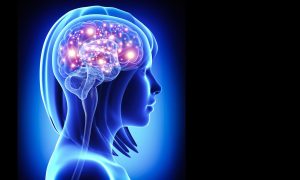 Using Fewer Brain 'Tools' May Speed Learning