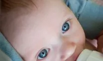 Overfed Babies May Develop ‘Inflamed Fat’