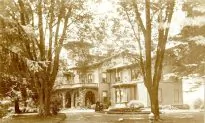 How Trees Tell the Story of 19th Century Millionaires