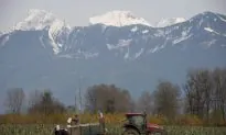 Agricultural Pesticides Threaten Surface Waters Globally, Study Finds