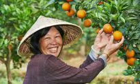 Calories, Energy, and Chinese Medicine
