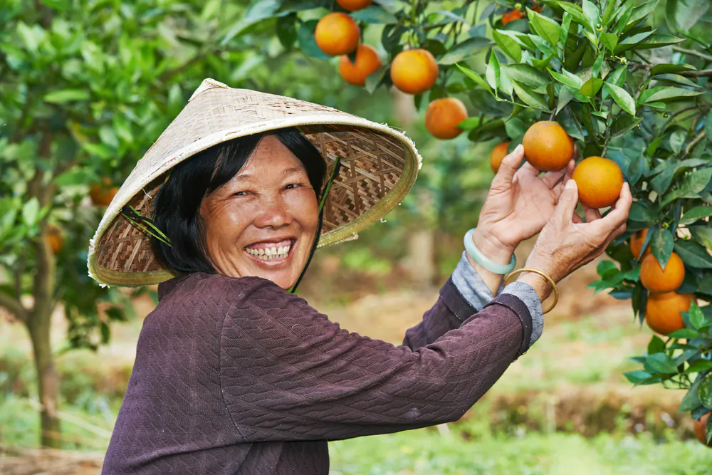It can take more energy to digest raw and cold foods. (Dmitry Kalinovsky/Shutterstock)