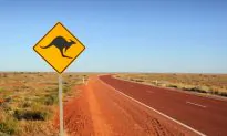What Not to Do on Your Trip to Australia