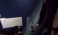 Deep-Sea Exploration Crew Stunned to See Rare Sperm Whale (Video)