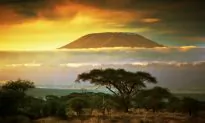 Tanzania: A Varied and Diverse Destination