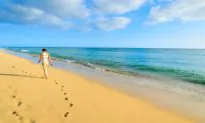 Best Beaches in Fuerteventura