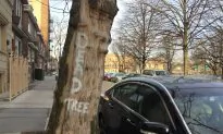 Why Some New Yorkers Won’t See Green Trees This Spring