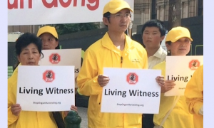 Calls to Stop Illegal Organ Harvesting in China