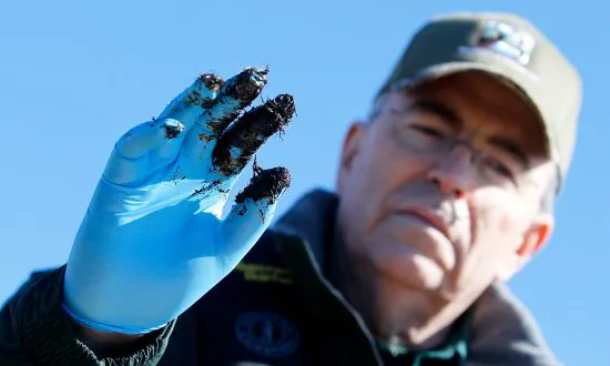 Dispersants Sprayed in Wake of Deepwater Horizon Oil Spill More Toxic Than Oil Alone
