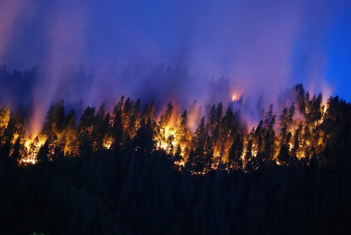 "Projections of more wildfires in the West mean that we need to account for this source of carbon emissions. Meeting the state greenhouse gas targets for 2020 might require a reconsideration of wildland management policies," says John Battles. (US Department of Agriculture/CC BY 2.0)