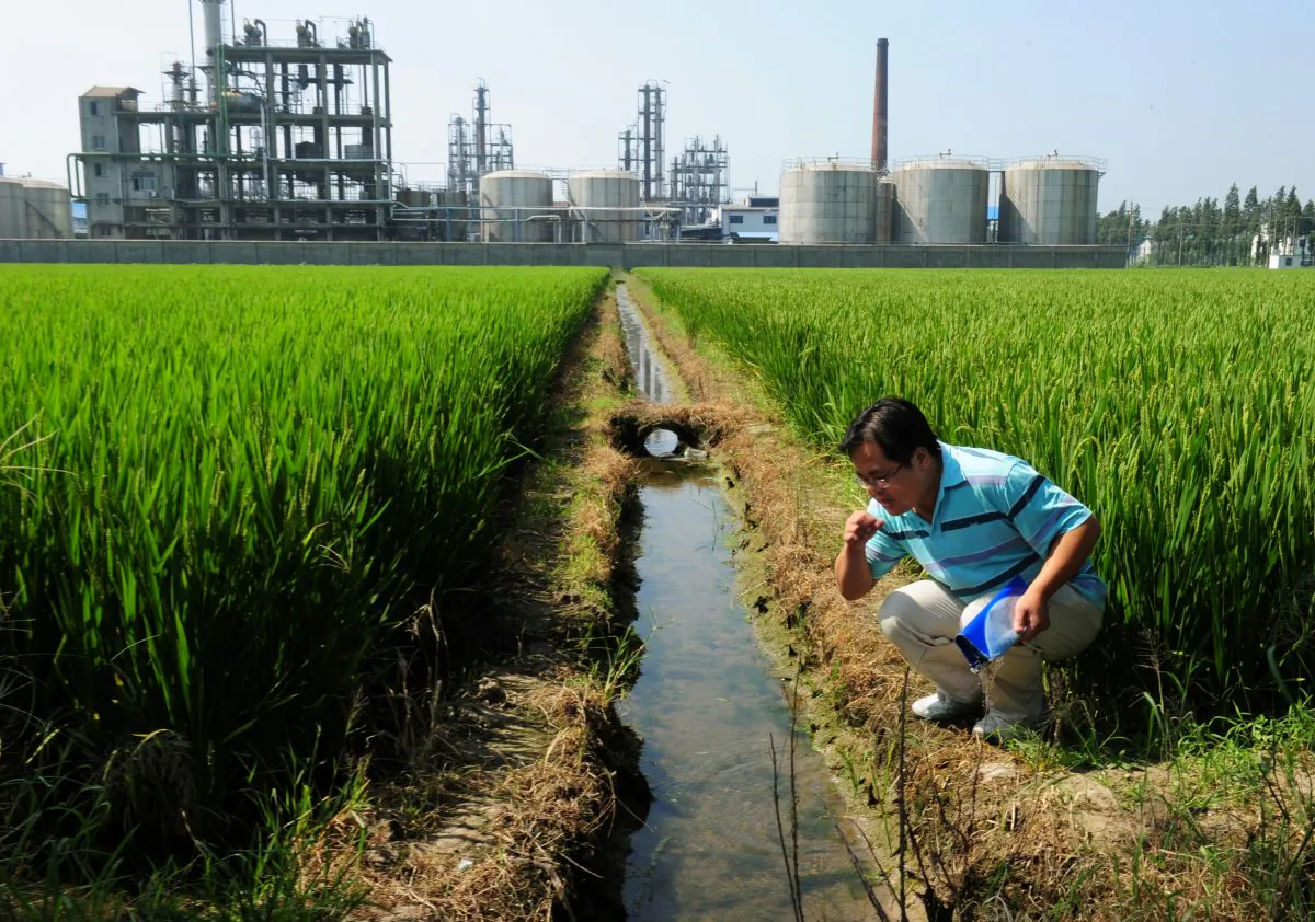 Chinese environmental activist Wu Lihong checks the water quality in an irrigation channel outside a chemical factory beside a rice paddy and on the edge of Taihu Lake in Yixing in Jiangsu Province on September 14, 2011. (MARK RALSTON/AFP/Getty Images)