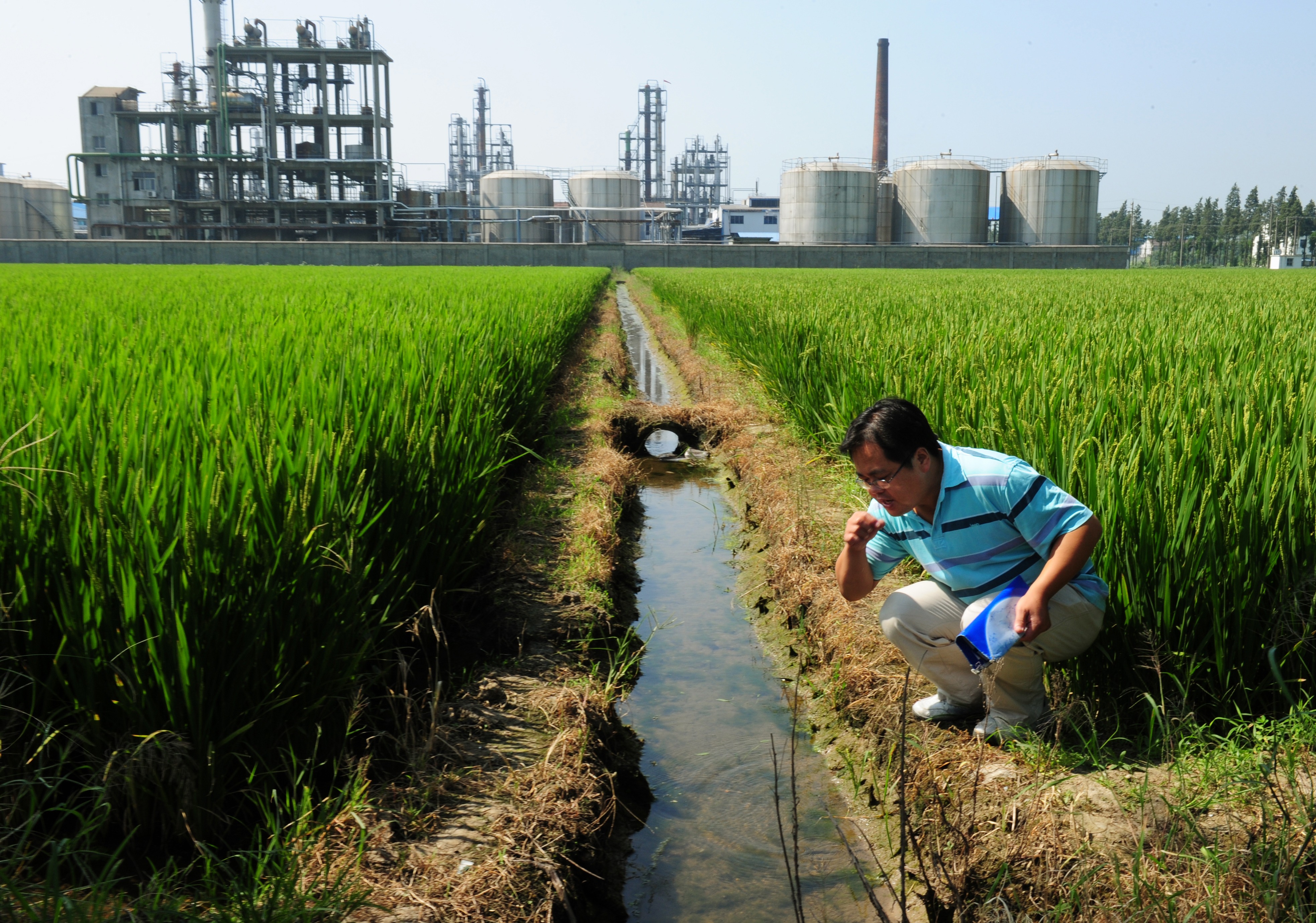 Экологический сток. Экология Китая. Экологическое сельское хозяйство. Борьба с загрязнением почвы. Промышленность и окружающая среда.