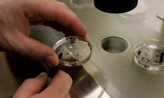 Synthetic Human Embryos Are Created, Raising Questions