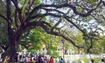 Kandy Lake, Kandy – Sri Lanka