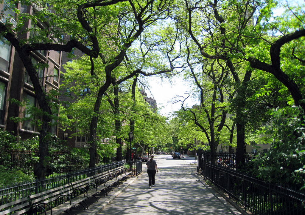 Tree-lined street in Brooklyn, NYC (Eric Mueller/Flickr/CC BY-SA 2.0)