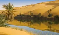 Extreme Sports Tourism in Egypt