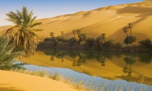 Extreme Sports Tourism in Egypt