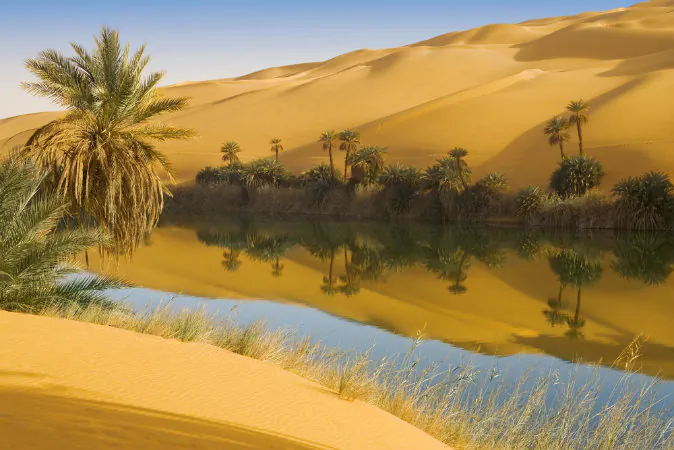 Dunes of the desert Sahara via Shutterstock*
