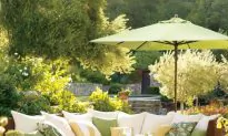 Transform Your Backyard With These Fun Ideas