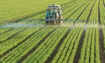 Is Land Fertilized With Sewage Sludge Harmful?