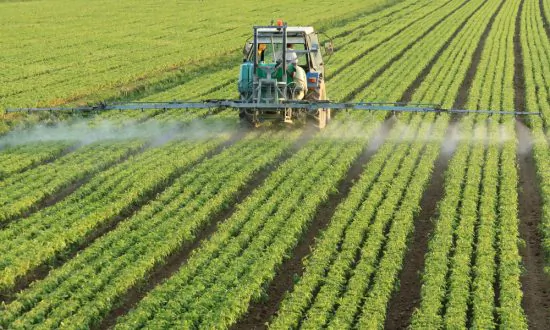 Is Land Fertilized With Sewage Sludge Harmful?