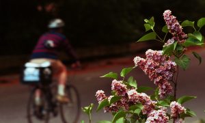 Sneezy? Allergy Season May Be 'Worst in Years'