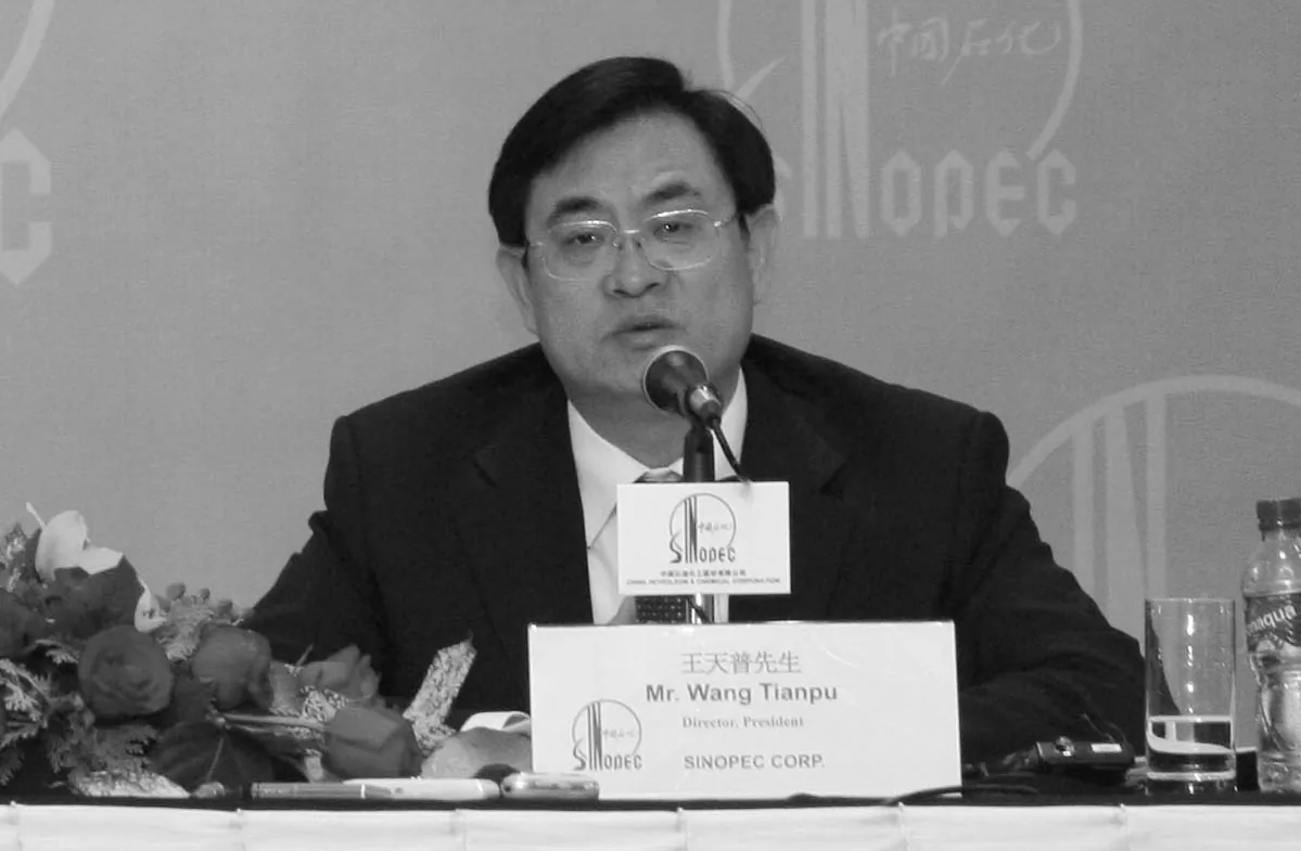 Sinopec President Wang Tianpu attends a news conference announcing the firm's annual results in Hong Kong on April 7, 2008. (AP Photo/Vincent Yu)