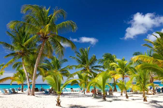 Tropical Beach, Saona Island, Dominican Republic via Shutterstock*
