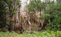 5 Amazing National Park Adventures