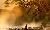 5 Unmissable Tanzanian Experiences for 2015