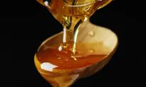 How Maple Syrup Could Improve Antibiotics