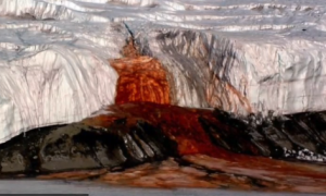 Microbial Life May Exist in Newly Discovered Waters Below Antarctic Surface (Video)