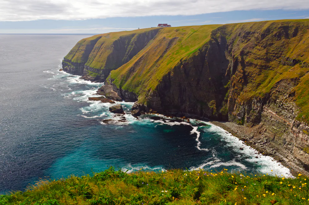 Coastal cliffs on Cape St Mary in Newfoundland via Shutterstock*