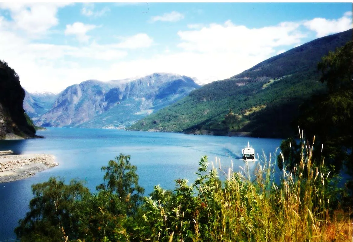 "It's amazing that systems that are so small can have such a huge global impact," says Thomas Bianchi. "It sends the message that fjords are not only beautiful, they're providing a very important service." (gorfor/Flickr, CC BY 2.0)