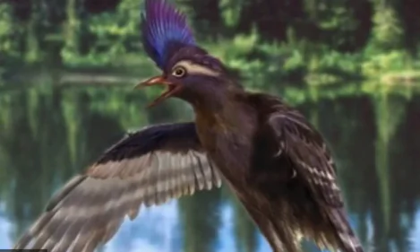 Modern Birds’ Oldest Known Ancestor Found in China (Video)