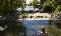 Hot Pool Indulgence in Rotorua