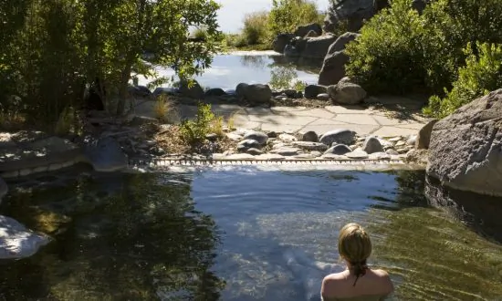 Hot Pool Indulgence in Rotorua