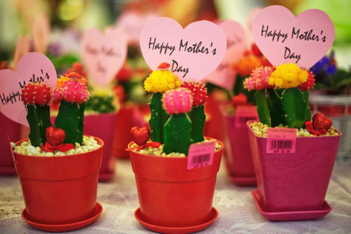 Cactus plants with messages "Happy Mother's Day" are displayed at a shopping mall in Kuala Lumpur on May 10, 2014. Mothers Day is celebrated around the world though on different dates. (Mohd Rasfan/AFP/Getty Images)