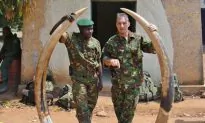 Ranger Killed By Poachers in Park Known for Elephant Deaths