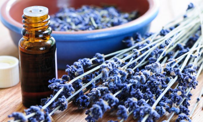 Essential Oils for Pain: Mints, Resins, and Rhizomes