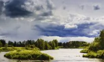 The Fight to Preserve Elfdalian, Sweden’s Historic Lost Forest Language