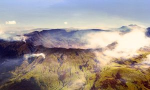 Indonesia: Researchers Find Six New Species in National Park