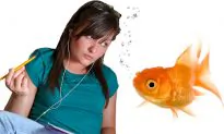 Millennials’ Attention Spans One Second Shorter Than Goldfish