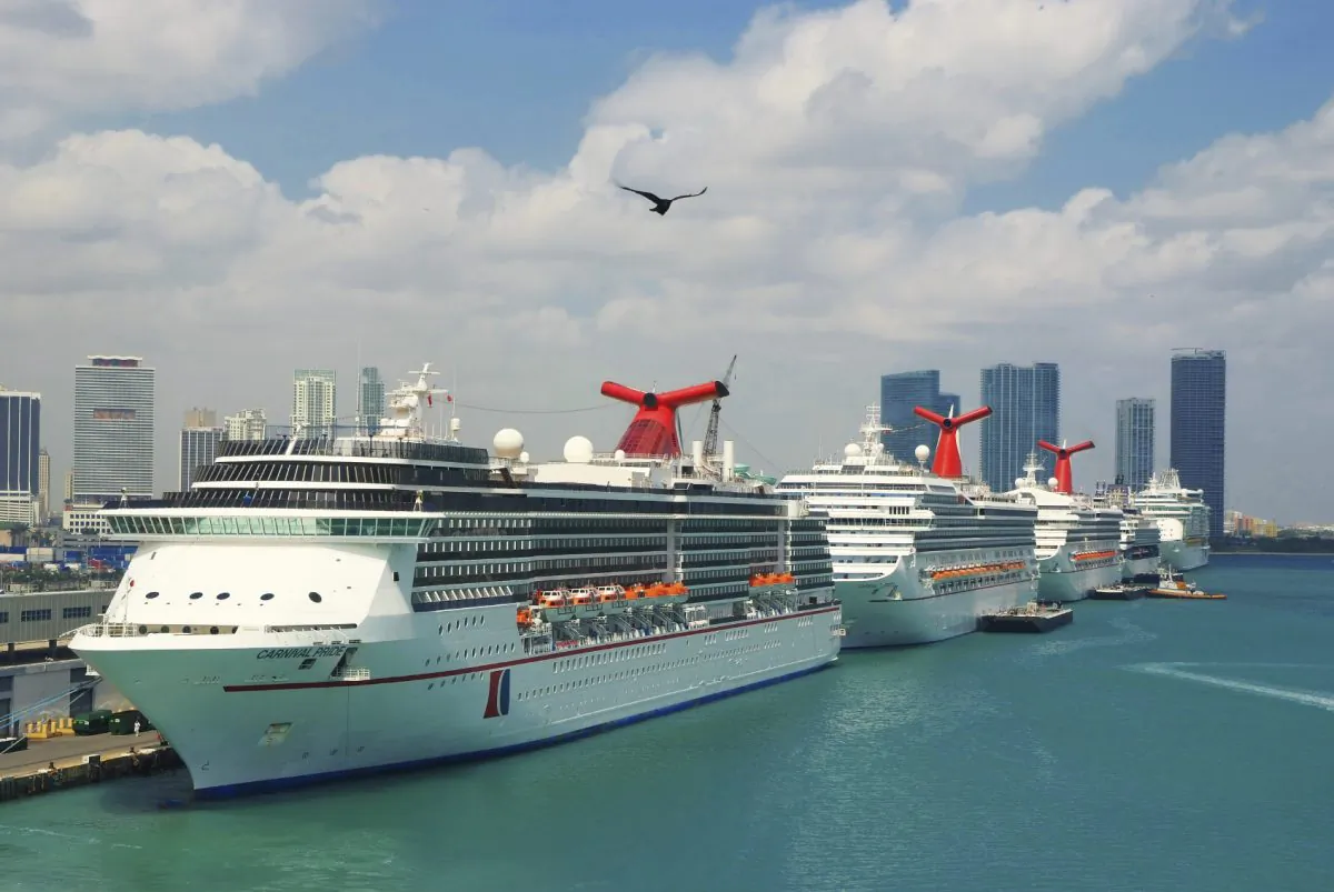 Cruise ships in Port of Miami  (photosvit, iStock)