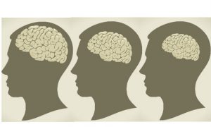 Your Brain Is Shrinking but You Can Reverse It